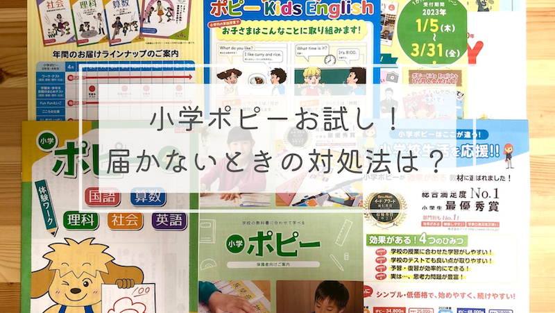 小学ポピー お試し ブログ 届かない