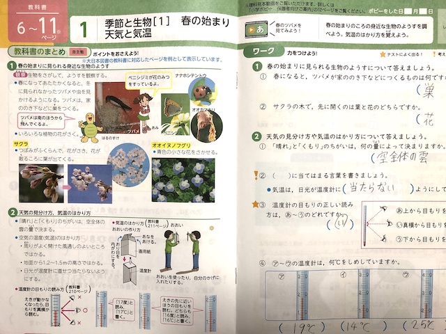 ポピー お試し見本 中身