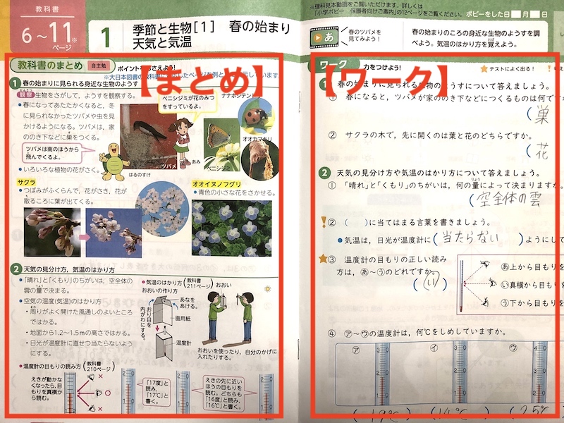 ポピー お試し 理科